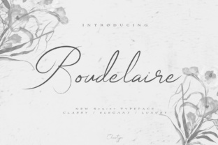 Boudelaire: The Elegant Script Font for Campaigns