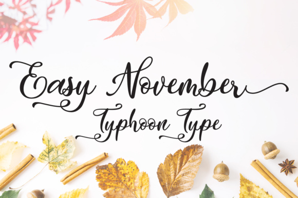 Easy November: A Swirly Script Font for Editorial Design