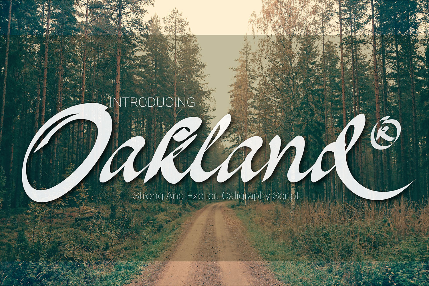 Oakland Script: A Designer’s Review for Real Branding