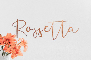 Rossetta: A Graceful Script Font for Editorial Design