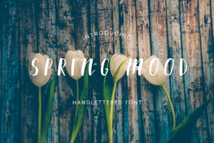 Spring Mood: A Clean Display Font for Small Business Branding