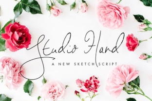 Studio Hand: A Signature Script Font for Web Design