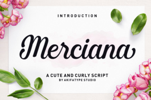 Upgrade Your Brand with the Merciana Typeface