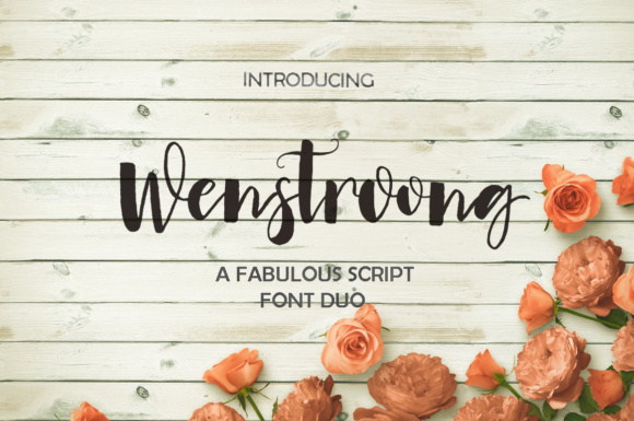 Wenstroong: A Designer’s Honest Review